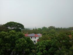 Holland Court (D10), Apartment #458945381